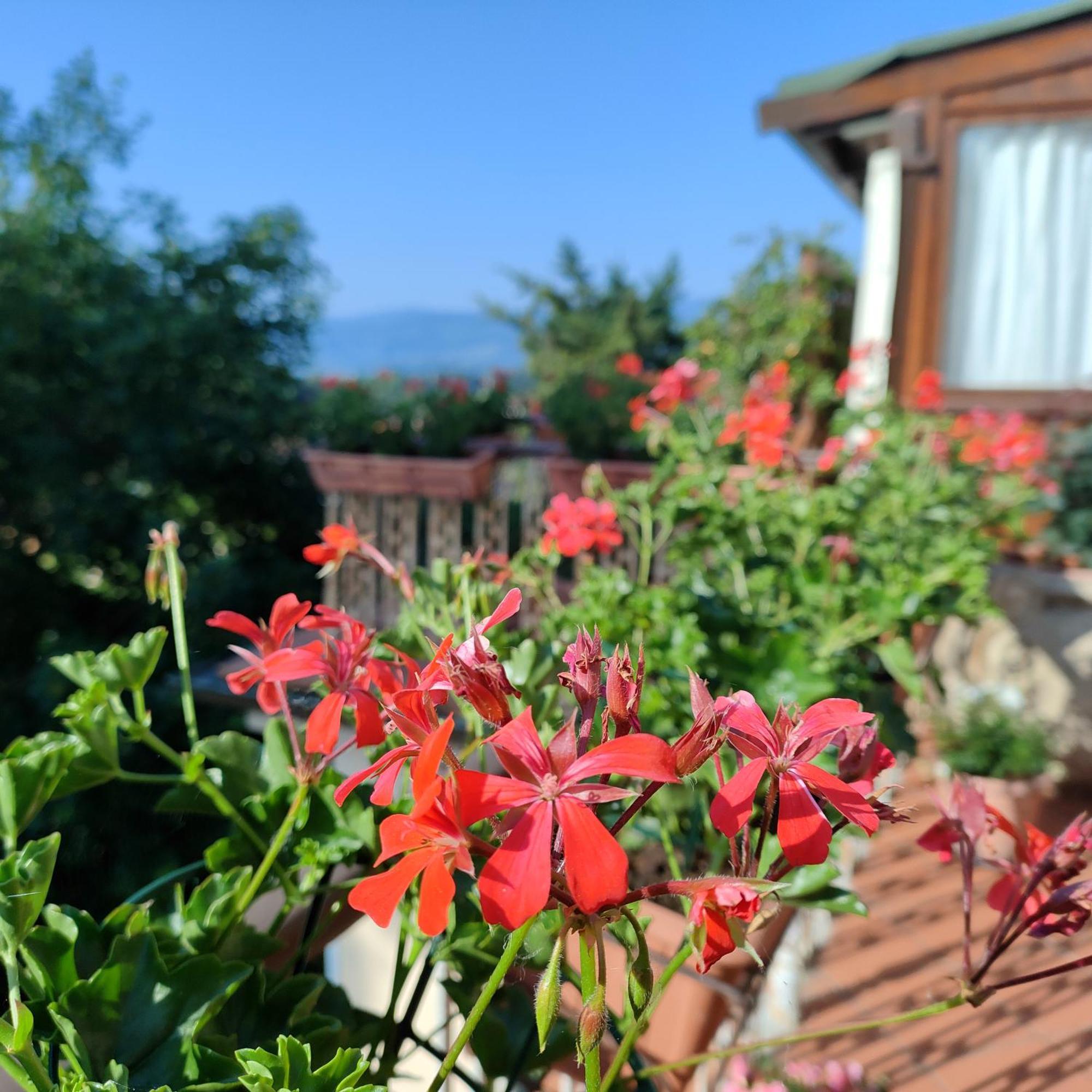 Casa Vacanza In Casentino Bibbiena Luaran gambar